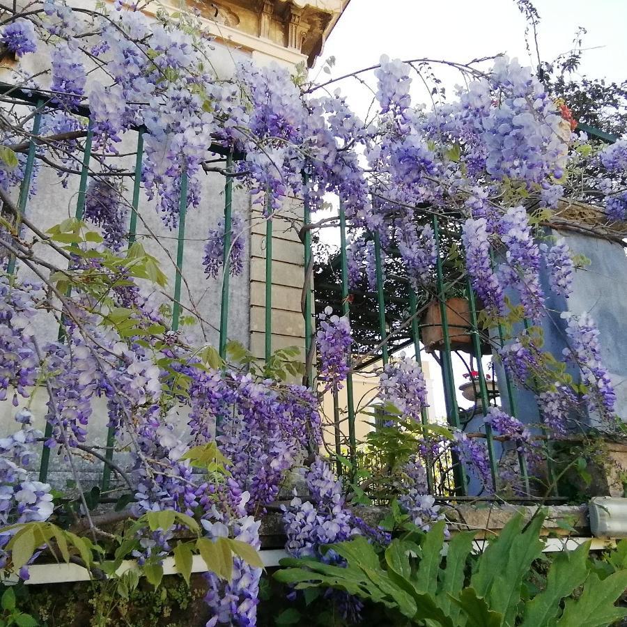 Villa Manasse Aci Castello Exterior foto
